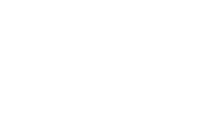 Town Planning Expert 